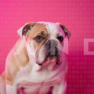 British Bulldog - 000031