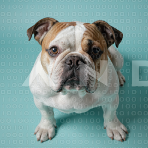 British Bulldog - 000005