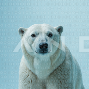Polar Bear - 000101