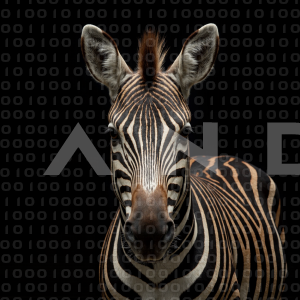 Zebra - 000172