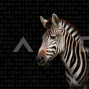 Zebra - 000183