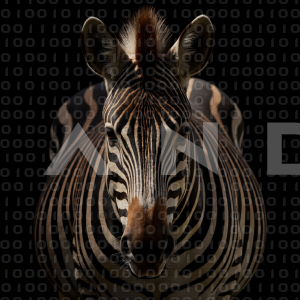 Zebra - 000184