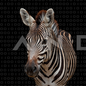 Zebra - 000187