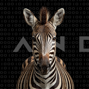 Zebra - 000195