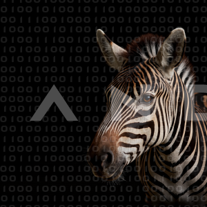 Zebra - 000201
