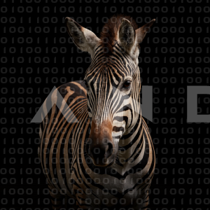 Zebra - 000203