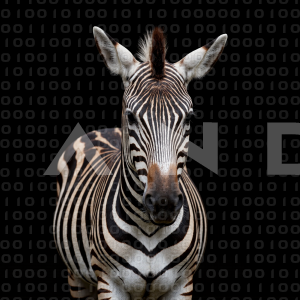 Zebra - 000209