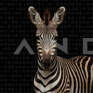 Zebra - 000210