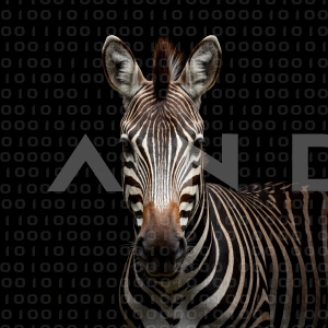 Zebra - 000213