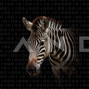Zebra - 000217