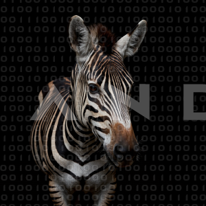 Zebra - 000219