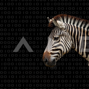 Zebra - 000222