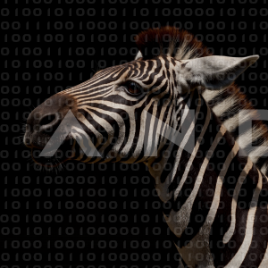 Zebra - 000223