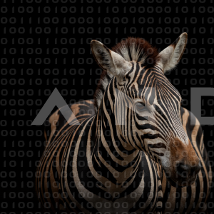 Zebra - 000231