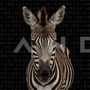 Zebra - 000235