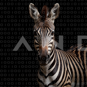 Zebra - 000238