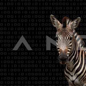Zebra - 000241