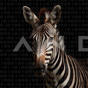 Zebra - 000246