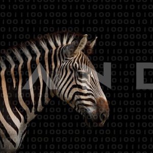 Zebra - 000253
