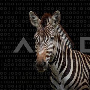 Zebra - 000256