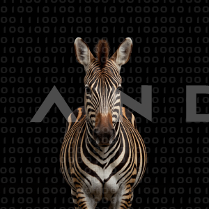 Zebra - 000258