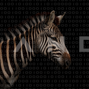 Zebra - 000261