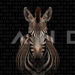 Zebra - 000267