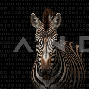 Zebra - 000270