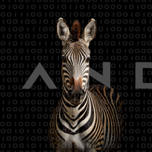 Zebra - 000272