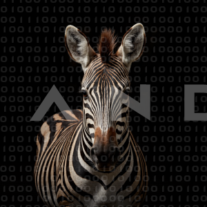 Zebra - 000273