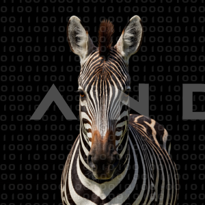 Zebra - 000275