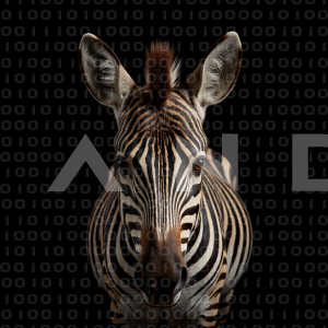 Zebra - 000276