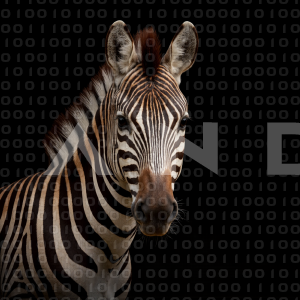 Zebra - 000277