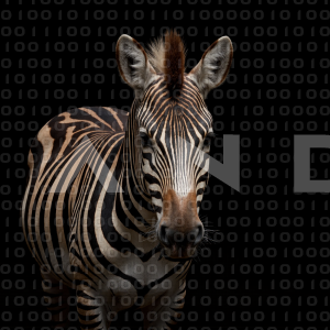 Zebra - 000288