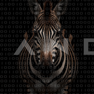 Zebra - 000289