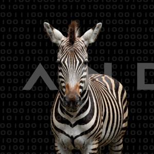 Zebra - 000292