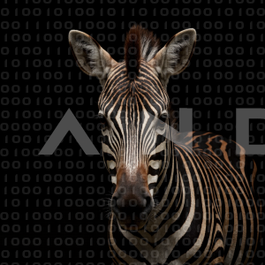 Zebra - 000296