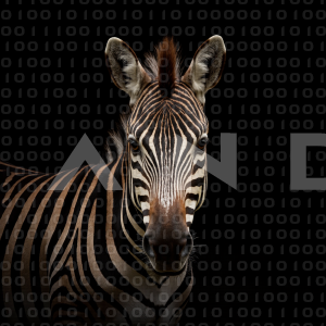 Zebra - 000298