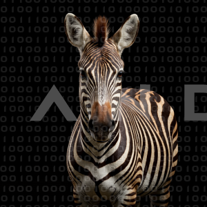 Zebra - 000302