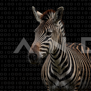 Zebra - 000303