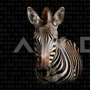 Zebra - 000304