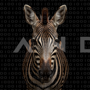 Zebra - 000306
