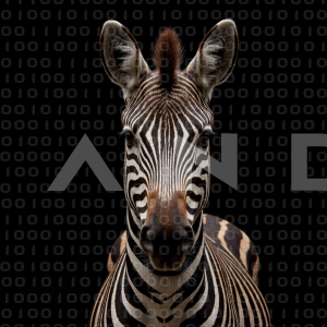 Zebra - 000307