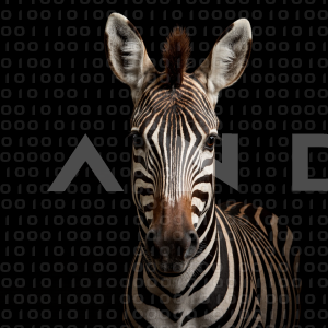 Zebra - 000310