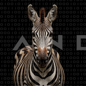 Zebra - 000311