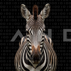 Zebra - 000314