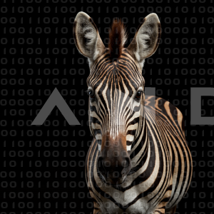 Zebra - 000316