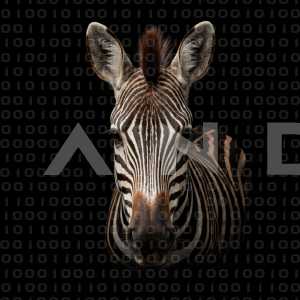 Zebra - 000322