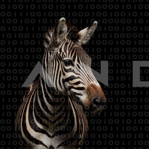 Zebra - 000323