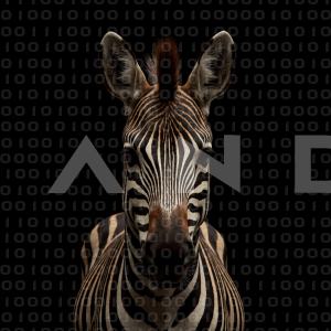 Zebra - 000324